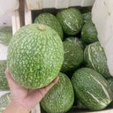 Figleaf Gourd, 50 Seeds
