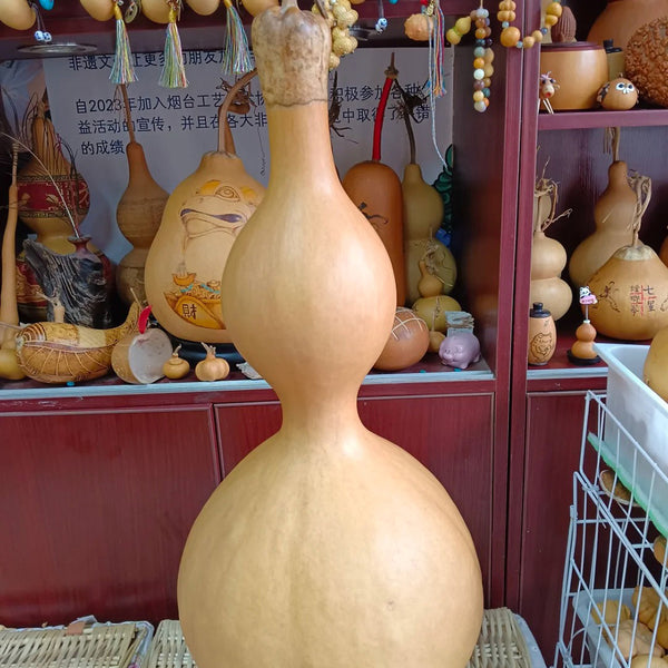 Extra Large Waist Gourd, 5 Seeds