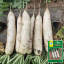 'Guangliang No.22' Radish Seeds, 50g