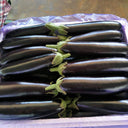 'Changza 218' Eggplant Seeds, 10g