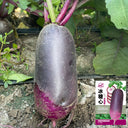 Rock Sugar Heart Purple Skin Fruit Radish, 60 Seeds