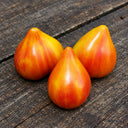 388 Canadian Yellow Strawberry Tomato, 5 Seeds