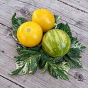 501 Sweet Splash Electra Tomato, 5 Seeds