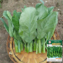Yibao Japanese Mustard Greens Seeds, 10g