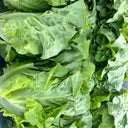 'Lvmei' Italian Leaf Lettuce Seeds, 10g