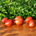 371 Crushed Heart Tomato, 5 Seeds