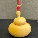 Money Bag Eight Treasures Gourd, 10 Seeds