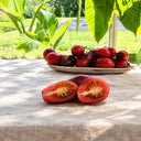 312 Marchenfee Fairytale Fairy Tomato, 5 Seeds