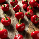 Red Hot Cherry Pepper, 15 Seeds