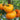 'Peaches and Cream' Tomato Seeds, 5 Seeds