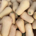 Creamy Pumpkin, 10 Seeds