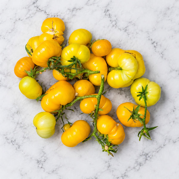 88 Dwarf Rumpelstiltskin Tomato, 5 Seeds