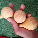 Microphone Gourd, 10 Seeds