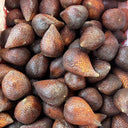 Salak Palm, 5 Seeds