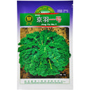 Kale Seeds, Garden Ornamental Vegetables Flowers, Edible, Pack of 1