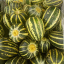 Bing Tangzi Melon, 50 Seeds