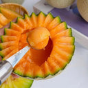 Maiour Melon Hybird F1 Seeds, 10 Seeds