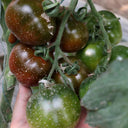 Purple Peach Tomato, 5 Seeds