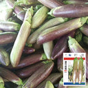 Yu Bamboo-Silk Eggplant No.881 Seeds, 8g