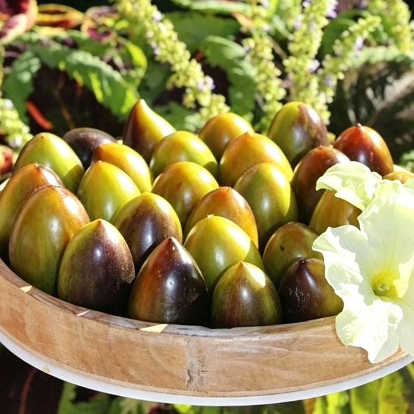 970 Cosmic Purple Tomato, 5 Seeds