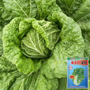 Jiemei 203 Xiayang Chinese Cabbage Seeds, 10g