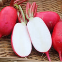 'Guanhong No.3' Radish Seeds, 20g