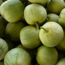 Japanese Sweet Treasure Melon Seeds, 80 Seeds
