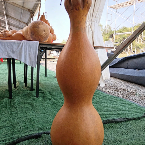 Extra-large Lotus-head Gourd, 2 Seeds