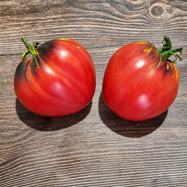 286 Senior Sergeant Tomato, 5 Seeds
