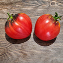 286 Senior Sergeant Tomato, 5 Seeds