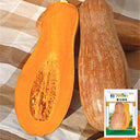 Mibao Pumpkin Seeds, 10g