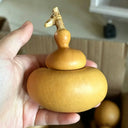 Money Bag Eight Treasures Gourd, 10 Seeds