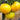 275 Your Majesty Tomato, 5 Seeds
