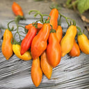 785 Red Banana Tomato, 5 Seeds