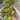 Qingguo Qingcheng F1 Tomato, 5 Seeds
