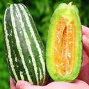 Feitian No.9 Hybrid Sweet Melon Seeds, 20 Seeds