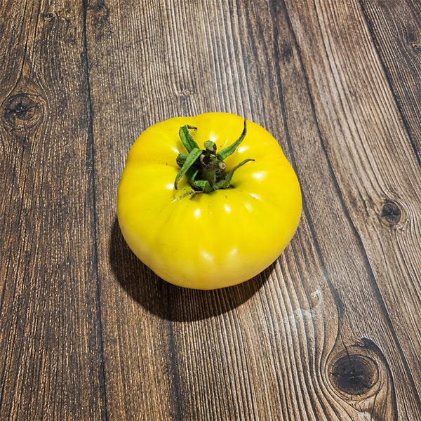 282 Weary Sun Tomato, 5 Seeds
