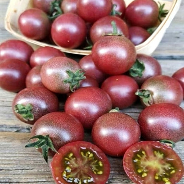 610 Reinhard Kraft's Purple Sugar Cherry Tomato, 5 Seeds
