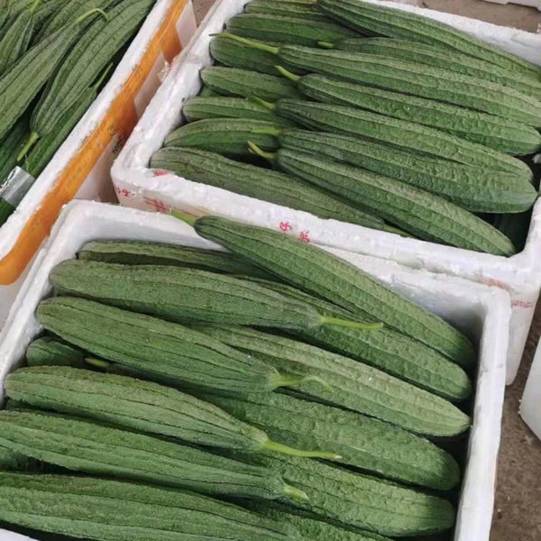 Jiemei Yaxiu No. 2 Luffa, 20 Seeds