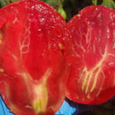 806 Your Smile F7 Tomato, 5 Seeds