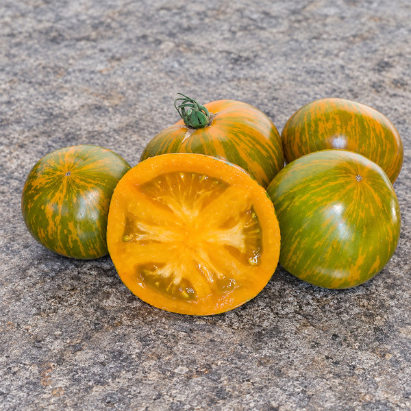 412 Dwarf Jeremy's Stripes Tomato, 5 Seeds