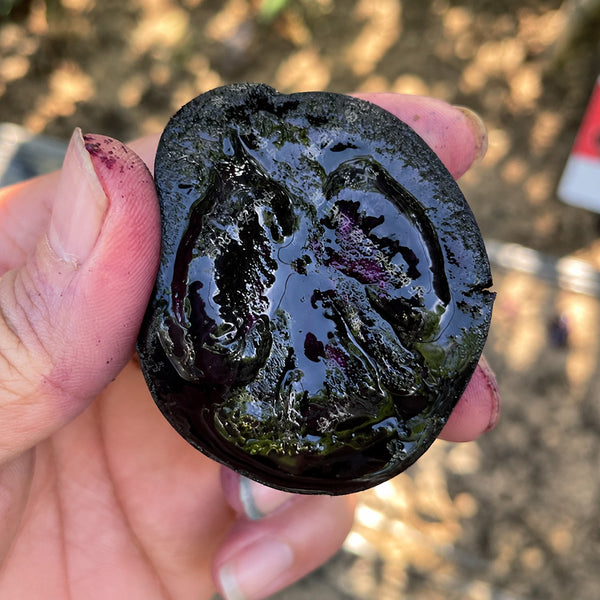 W1357 Blueberry Fruit Tomato, 100 Seeds