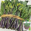 Curly-Leaf Red-Stem Chinese Kale Seeds, 10g