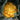 Golden Cauliflower (Brassica oleracea var. Botrytis) Seeds, 100 Seeds