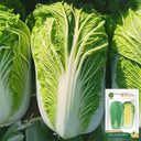 'Shengqiu 80' Chinese Cabbage Seeds, 20g
