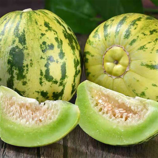 'Flower Fairy' Aromatic Sweet Melon Seeds, Hybrid F1