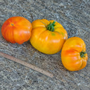 207 Stanley Tomato, 5 Seeds