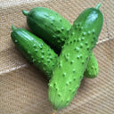 Trellis-Crushing Snack Cucumber Seeds, 1g