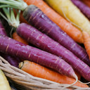 Rainbow Carrot, 1500 Seeds