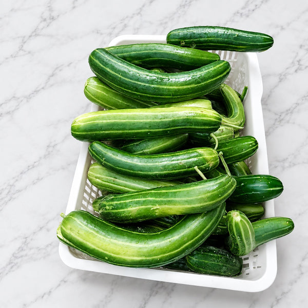 U2617 Huanghe Crisp Vegetable Melon, 200 Seeds